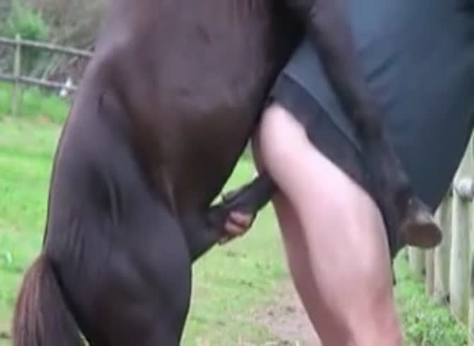 Sexy horse unbelievably bangs its mistress near the stables - Zoo Porn Horse Sex, Zoophilia 